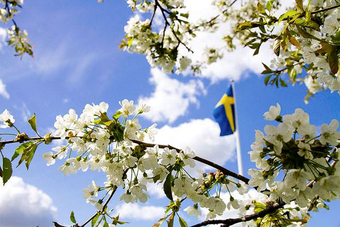 Nationaldagen_Svenska_Flagg